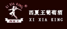 西夏王怎么样