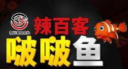 辣百客啵啵鱼怎么样