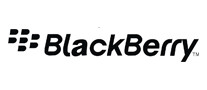 Blackberry黑莓怎么样