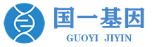 国一基因怎么样