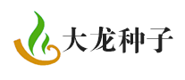 大龙种子怎么样