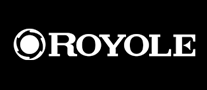 柔宇Royole怎么样