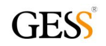 GESS怎么样