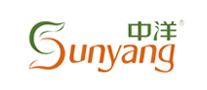 中洋Sunyang怎么样