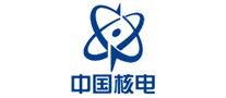 中国核电怎么样