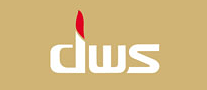 dws怎么样