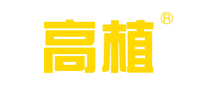 高植怎么样