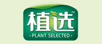 伊利植选怎么样