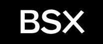 BSX怎么样