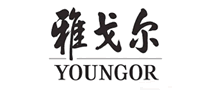 YOUNGOR雅戈尔怎么样