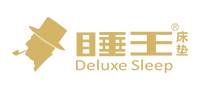睡王怎么样