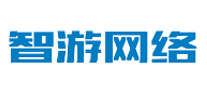 智游网络怎么样