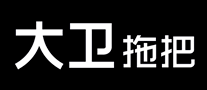 大卫拖把怎么样