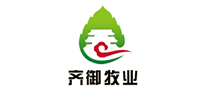 齐御怎么样