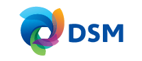 DSM帝斯曼怎么样