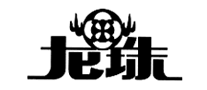 龙珠怎么样