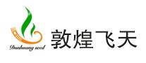 敦煌飞天怎么样