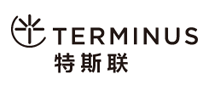 特斯联TERMINUS怎么样