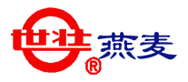 世壮怎么样