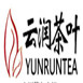 云润茶叶怎么样