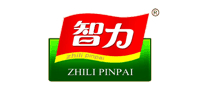 智力怎么样