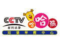 哈哈熊早教怎么样