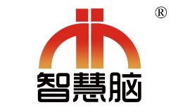 智慧脑怎么样