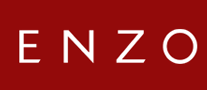 ENZO怎么样