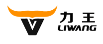 力王LiWang怎么样
