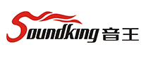 音王Soundking怎么样