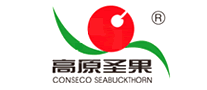 高原圣果怎么样