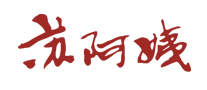 苏阿姨怎么样