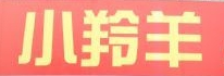 小羚羊电动车怎么样