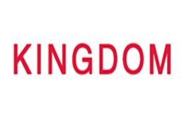 KINGDOM怎么样