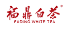 福鼎白茶怎么样