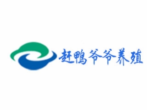 赶鸭爷爷养殖怎么样